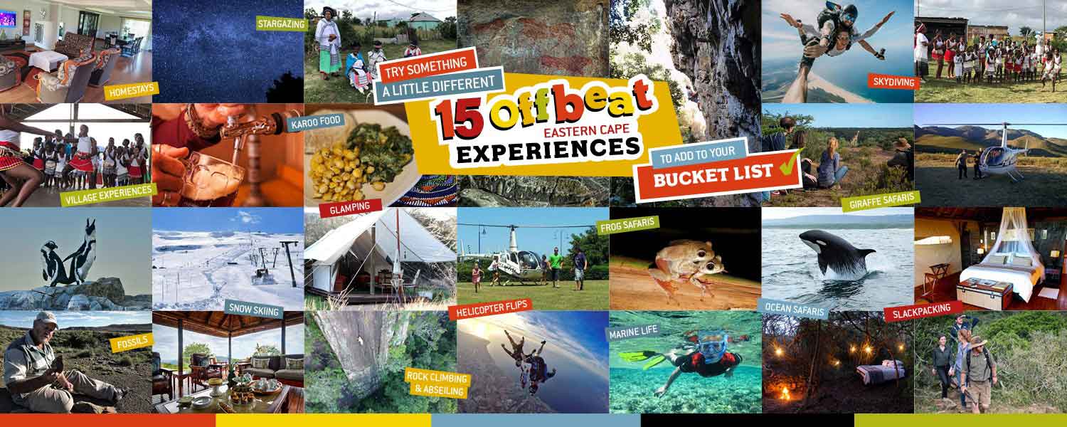 15 Offbeat Eastern Cape experiences